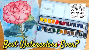 New Winsor & Newton Professional Watercolor 24 Half Pan Set | Unboxing & Swatching