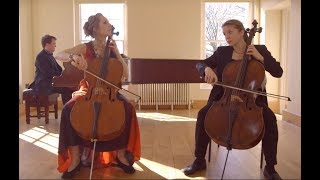 Allegro from Concerto in G Minor for Two Cellos, RV 531 by A. Vivaldi
