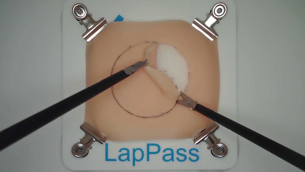 How to perform cutting the perfect circular disc - LapPass task 3