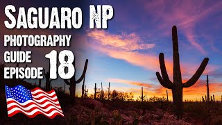 SAGUARO NATIONAL PARK West Landscape Photography USA Arizona