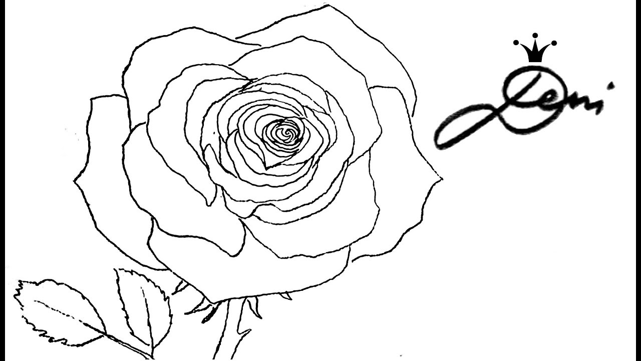 Featured image of post Rose Zeichnen Bleistift