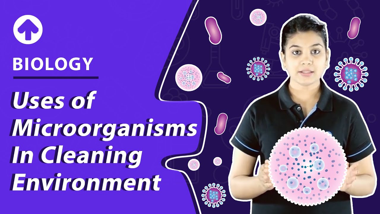 Uses Of Microorganisms In Cleaning Environment | Biology