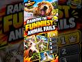 Ranking the FUNNIEST Animal Fails 😂🐶 #shorts #viral