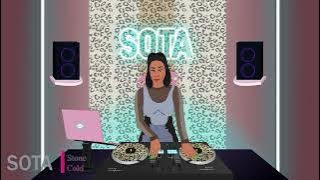 Stone Cold - Dess Dior  Mariah The Scientist ( Slowed )