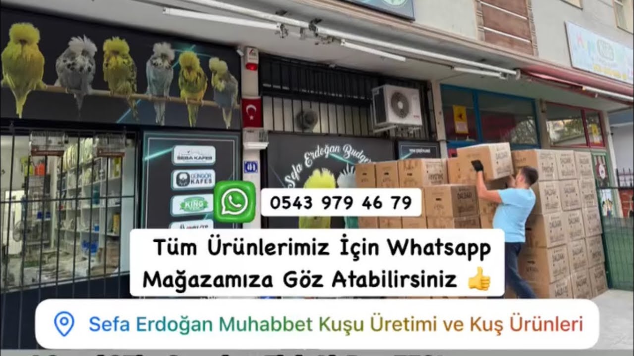 2026 Yeni Mahsül Dal Darı, Ak Darı, King Yem , Vaesen Yem ve Diğer Tüm Ürünlerimiz Stoklarımızdadır 