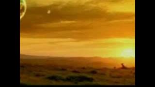 Mr. Brightside Remix official Video