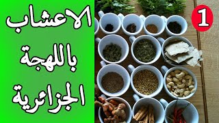 10 أعشاب مترجمة الى اللهجة الجزائرية    الجزء 1 🇩🇿🇩🇿