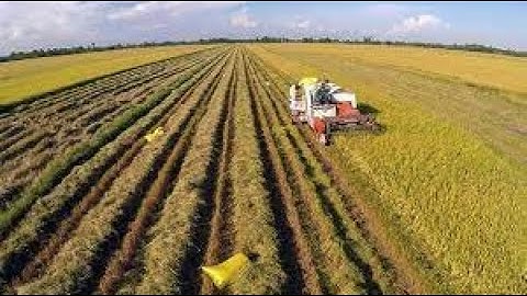 Chuyên đề Nghị quyết 19 về Nông nghiệp, nông dân, nông thôn