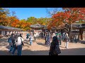 Changdeokgung Palace Secret Garden Autumn Walking Tour Seoul | Korea Travel Guide 4K HDR