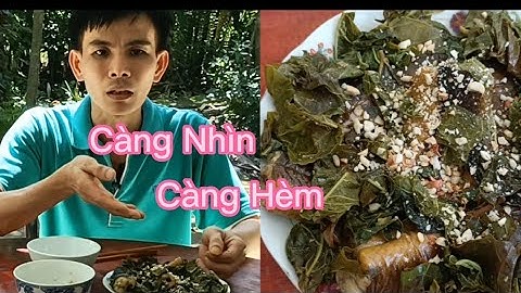Thật Ngon Với Lươn Um Lá Cách   Nước  Cốt Dừa|Thành Chung Bến Tre Xứ Dừa