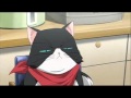 Nekos y Nekos-Humanos en el anime