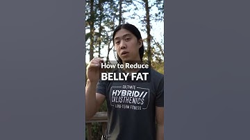 How to Lose Belly Fat