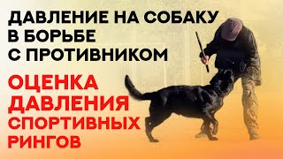 Дрессировка и испытания защитных собак. Давление со стороны противника. Service dogs training.