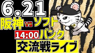 ちろるの配信のサムネイル画像