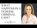 The Process of a Federal Case - Diane Bass