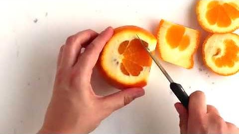 HOW TO: Segment Citrus Fruit
