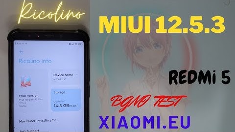 MIUI Ricolino 12.5.3 Stable | Redmi 5 ROSY | SMOOTH & SWEET UI? | BGMI Test | Quick Review