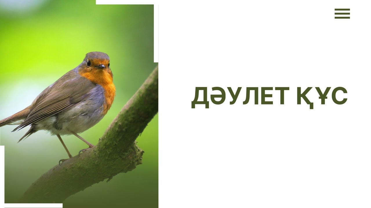 ДӘУЛЕТ ҚҰС ЕРТЕГІСІ