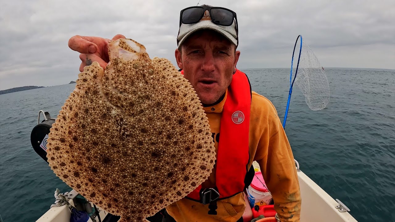 Ловля тюрбо и брилла: самых неуловимых камбаловых рыб в мире!