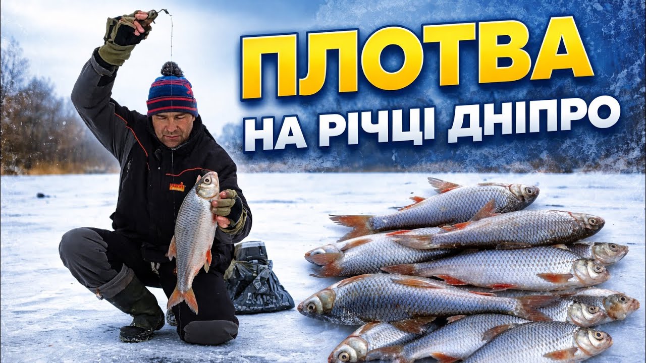 З цим монтажем (гірлянда) і ехолод не потрібен.Ловимо плотву на Дніпрі #дозариболовлі #гірлянда 
