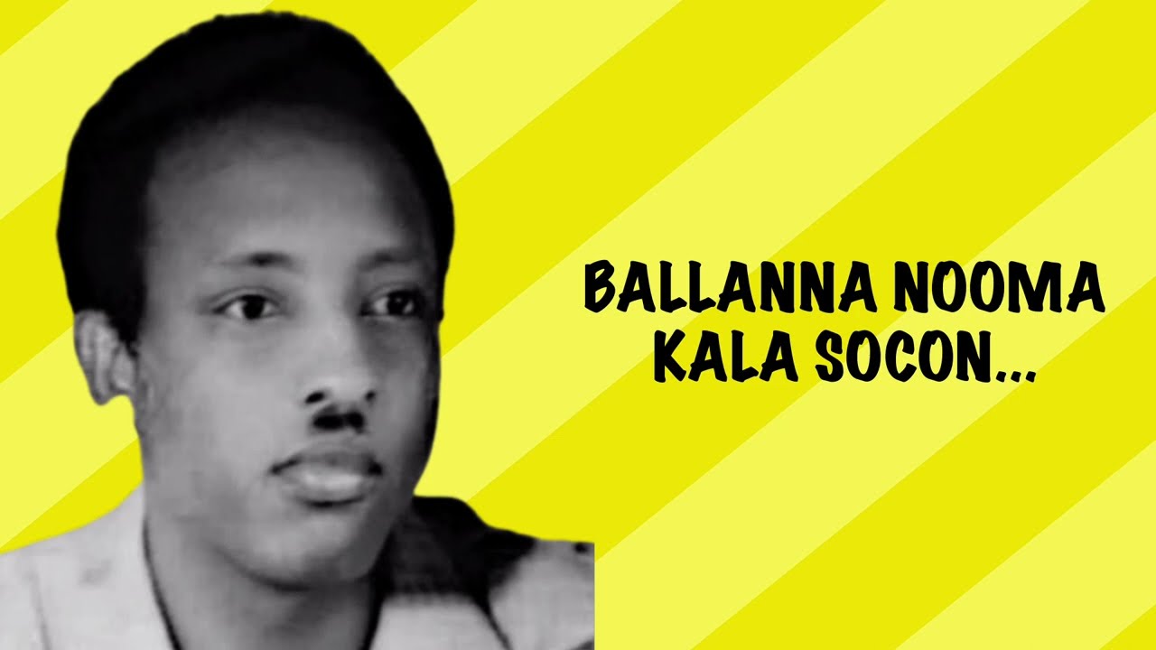 Baraarug | Kuluc | Cabdi Iidaan | Qarshe