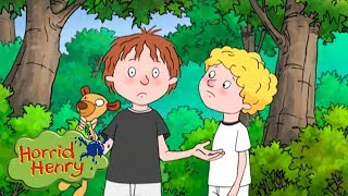 Horrid Henry - Summer Camp | Cartoons For Children | Horrid Henry Episodes | HFFE