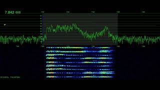 Farsi Numbers Station V32 New Frequency & PC Crash 7842 kHz | Signal Phantom screenshot 2
