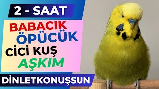 2 Saat Babacık Öpücük Cici Kuş Aşkım Çok net @dinletkonussun