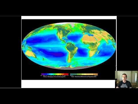 Net Ecosystem Productivity & Global Patterns vs. Human Carbon Footprint (Extra)