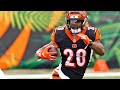 Joe Mixon FULL 2020 Highlights