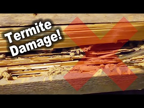 Fixing Rotted Sill Plate and Termite Damage in Floor Joists