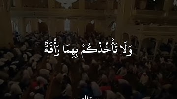 ماهر المعيقلي سورة النور الزَّانِيَةُ وَالزَّانِي فَاجلِدُوا كُلَّ وَاحِدٍ مِنهُمَا مِائَةَ جَلْدَةٍ