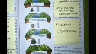 Sticky Notes Chapter 5 part 1