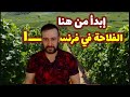 كيف تعمل في الفلاحة الموسمية في فرنسا كمهاجر 