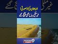 Nature Of Balochistan | Beautiful Balochistan | Balochistan Connect