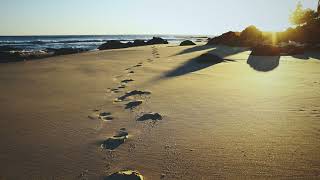 FOOTPRINTS | Chill Step