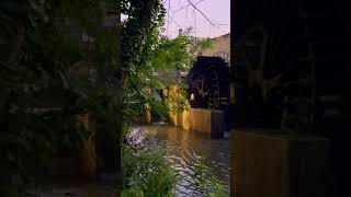 كرمانجي هرا كولي  #Kurmancî Here Gulê # أجمل أغنية كردية ترند 2026