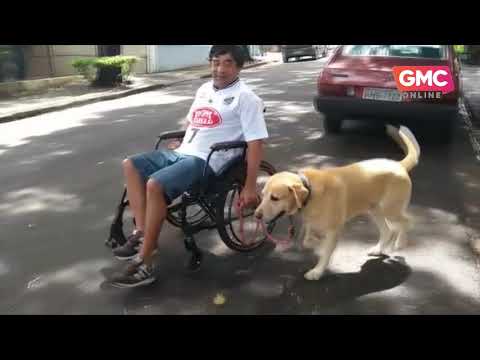 Cão é o melhor amigo de maringaense que sofreu 6 derrames