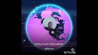 Halil Özel | Gidiyorum Zeynebim
