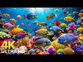 AQUARIUM 4K (ULTRA HD) - Beautiful Fish Swimming &amp; Colorful Sea Life Video 🐠 Deep Sleep Music #6