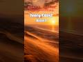 菊池桃子さんアルバム曲集。Ivory Coast。#shorts