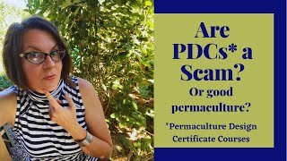 Are PDCs a Scam? A Racket? Or Good Permaculture Practice?