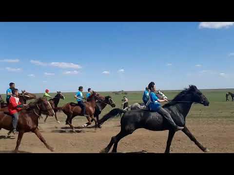 видео: ☀️🇰🇿🐎 БӘЙГЕ! Орал қаласы. Құнан жарыс. Аламан