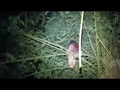 Live Misteri SENJAKALA BULAN PURNAMA