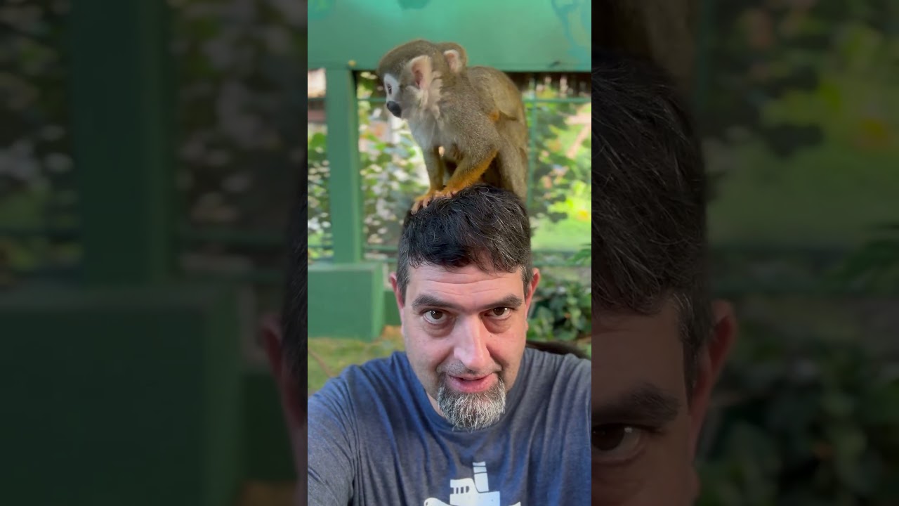 Mama and baby monkey did they poop on me (yes they did) 