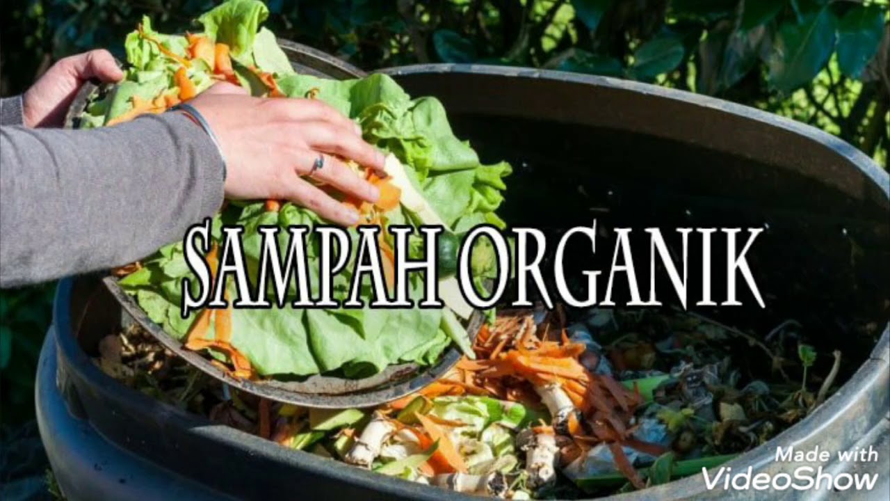  Sampah  Organik  dan Produk Turunannya YouTube