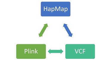 Convert SNP data from one format to another in few clicks. Part 1| HapMap | VCF | Plink