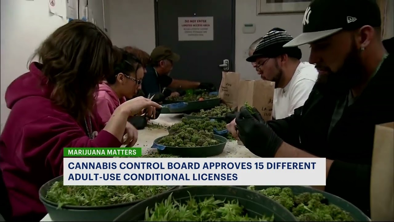 Cannabis Control Board approves New York's first processor licenses