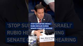 stop Supporting Israel  Rubio Heckled During Senate Committee Hearing