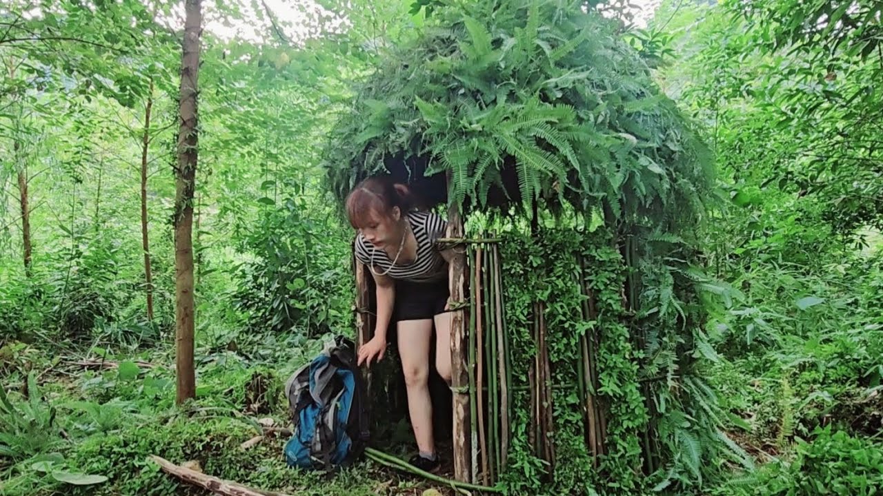 Build a 48 hour survival bushcraft shelter in the rainforest - YouTube
